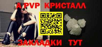 шишки Донской
