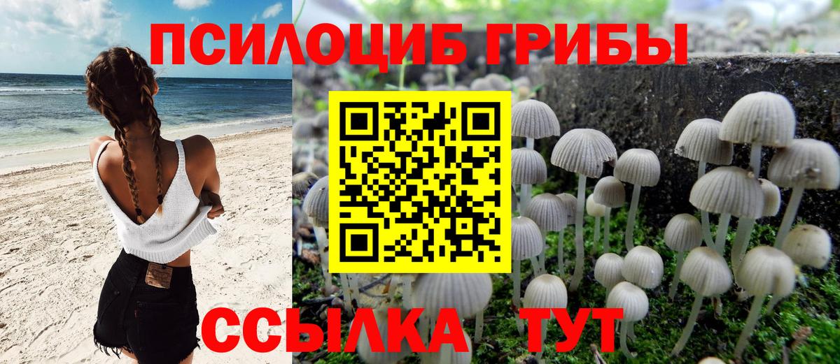 Тимашёвск  Псилоцибиновые грибы ЛСД  Вход с VPN 